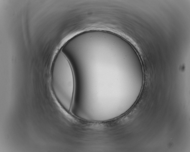 X0000091061525200708060948