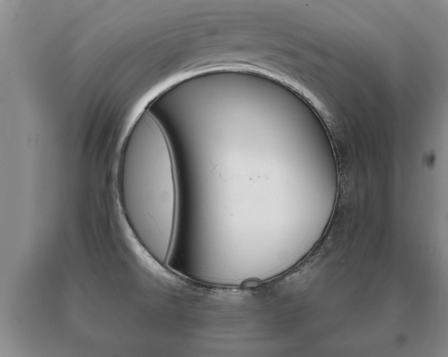 X0000091061526200708060948