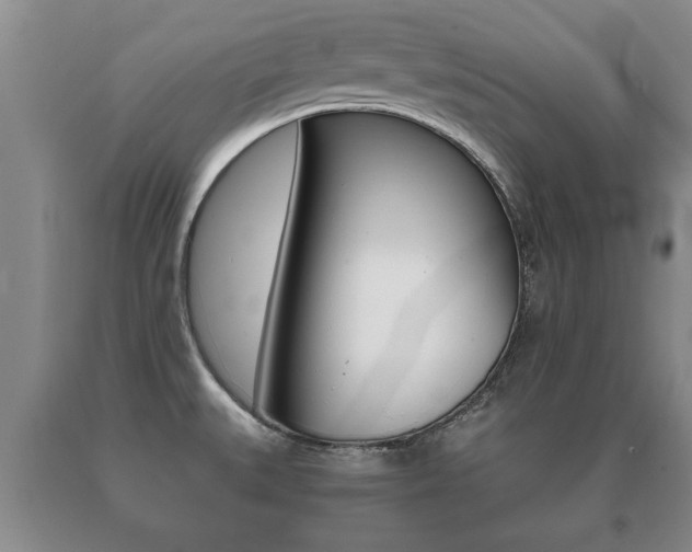 X0000091061527200708060948