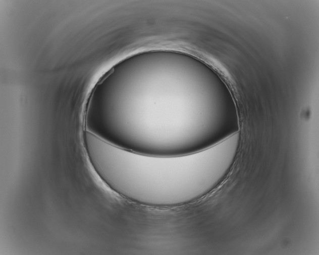 X0000091061528200708060948