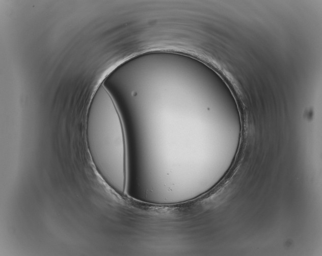 X0000091061529200708060948