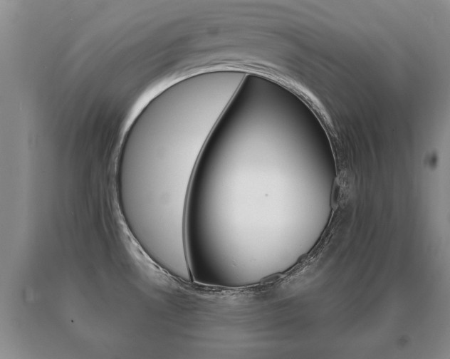 X0000091061530200708060948