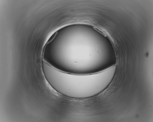 X0000091061532200708060948