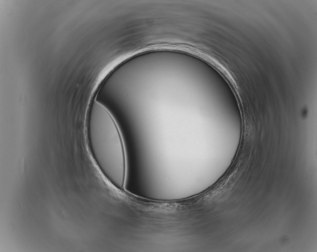 X0000091061533200708060948