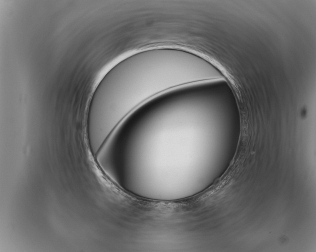 X0000091061534200708060948