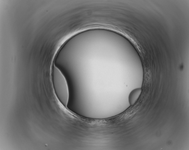 X0000091061535200708060948