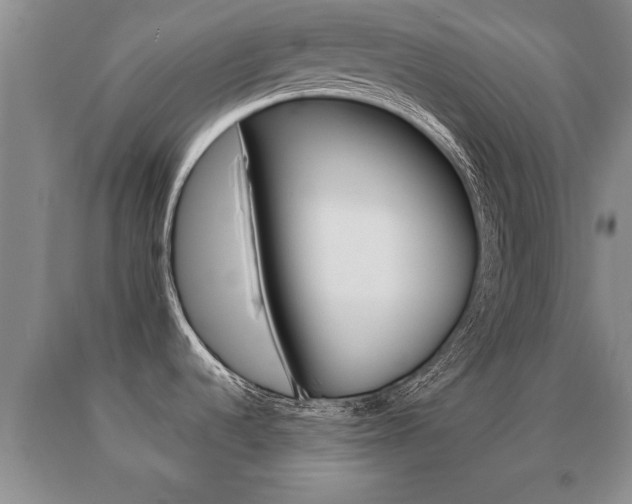 X0000091061536200708060948