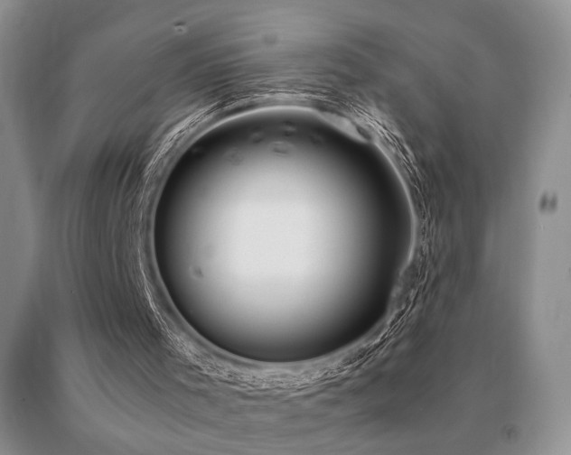 X0000091060001200708061251