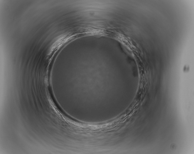 X0000091060002200708061251