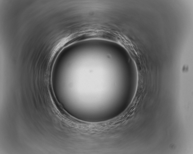 X0000091060003200708061251