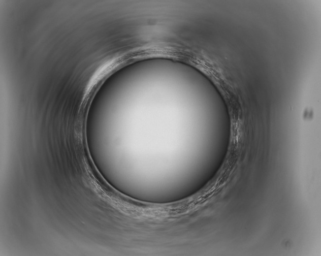 X0000091060004200708061251