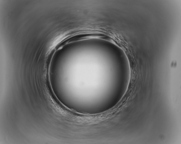 X0000091060005200708061251
