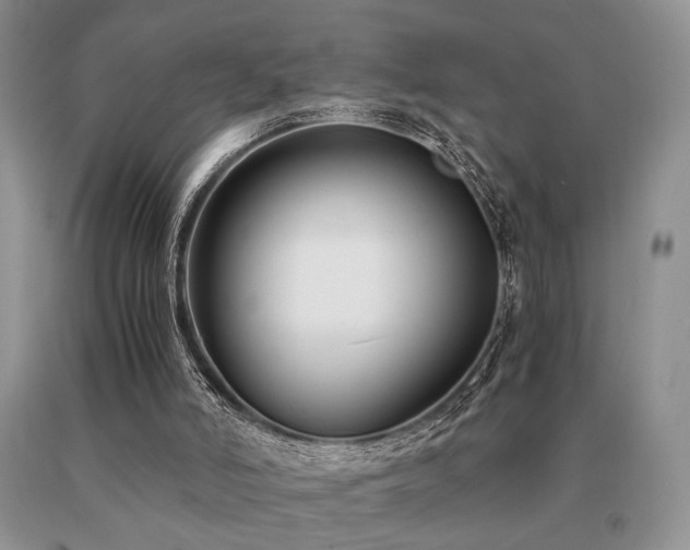 X0000091060006200708061251