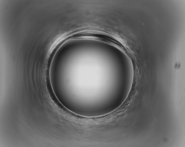X0000091060007200708061251