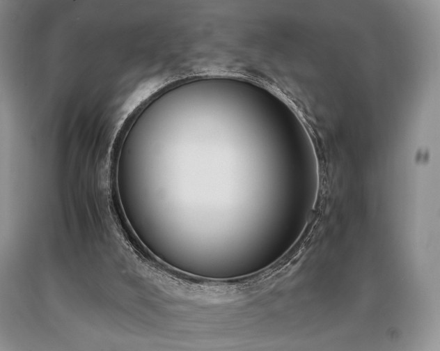 X0000091060008200708061251