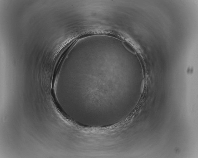 X0000091060009200708061251