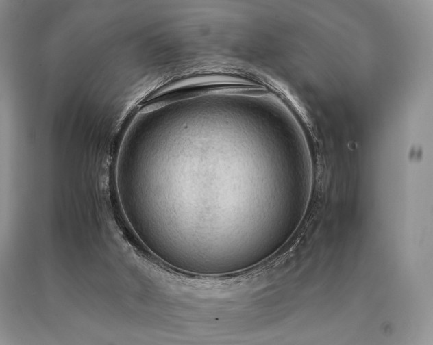 X0000091060010200708061251