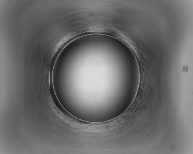 X0000091060011200708061251