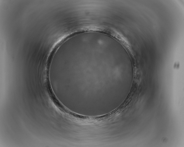 X0000091060012200708061251