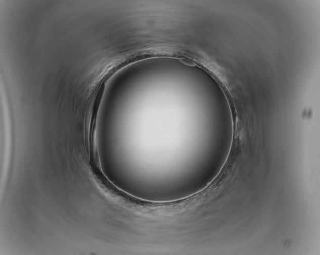 X0000091060013200708061251