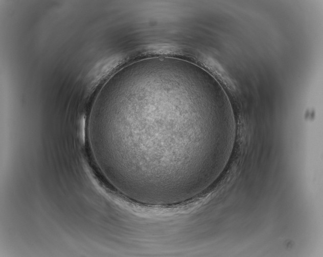 X0000091060014200708061251
