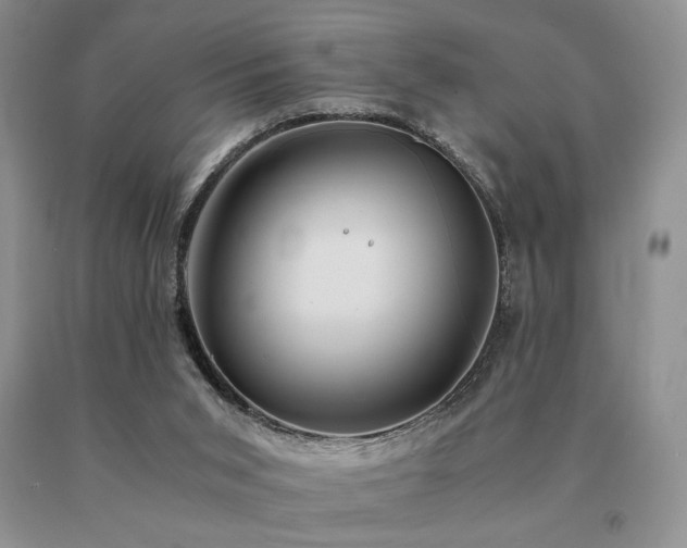 X0000091060015200708061251