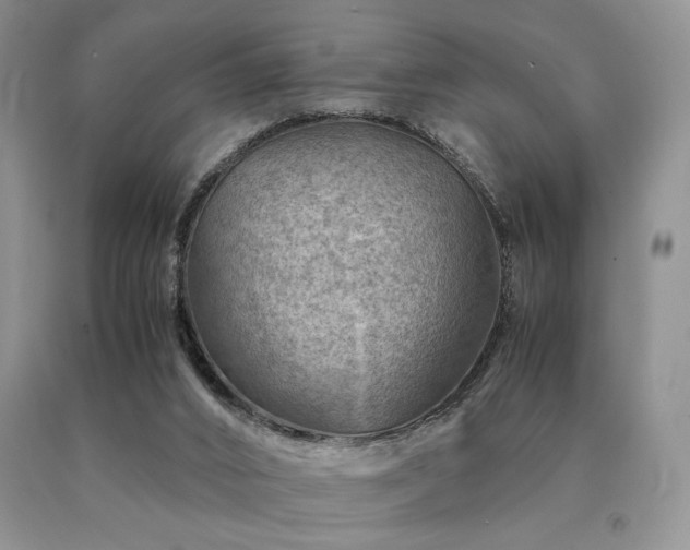 X0000091060016200708061251