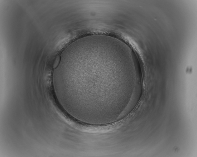 X0000091060017200708061251