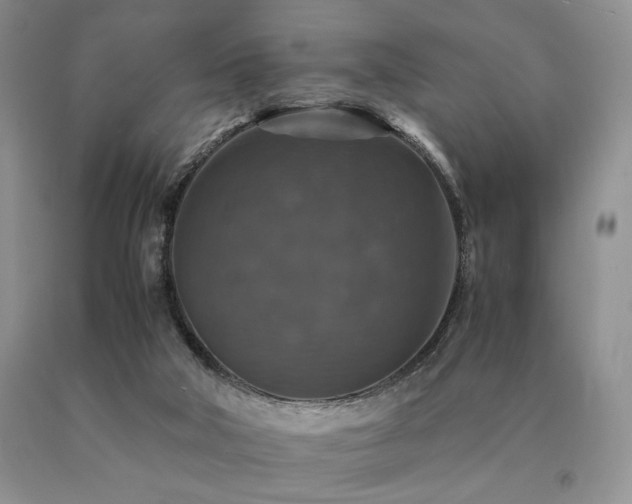X0000091060018200708061251