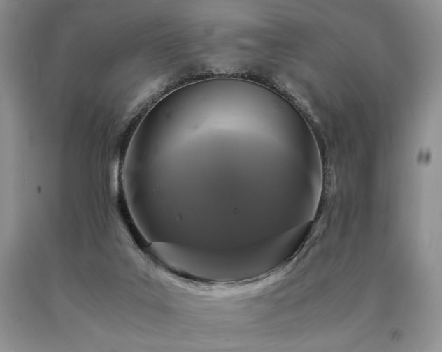 X0000091060019200708061251