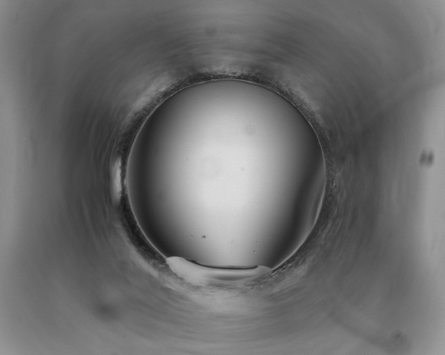 X0000091060020200708061251