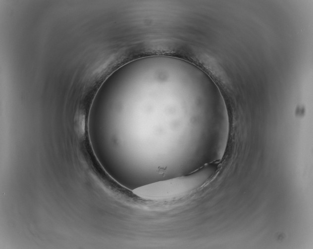X0000091060021200708061251