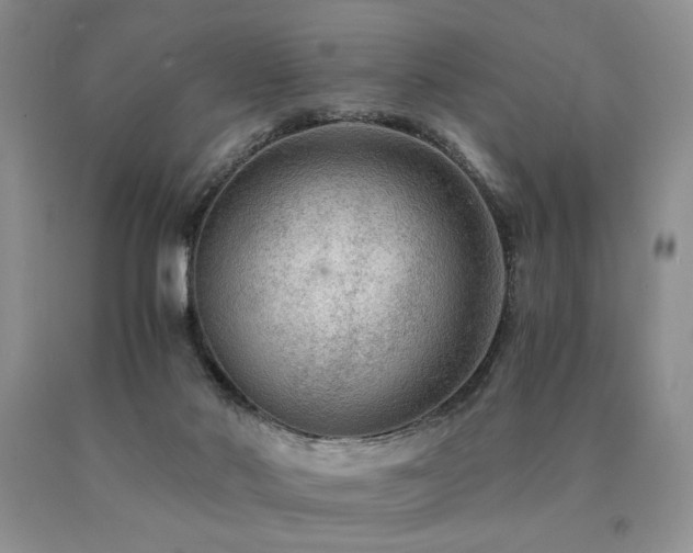 X0000091060022200708061251
