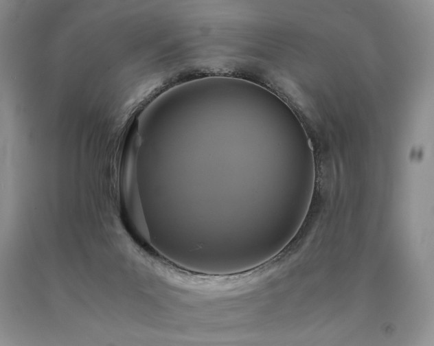 X0000091060023200708061251