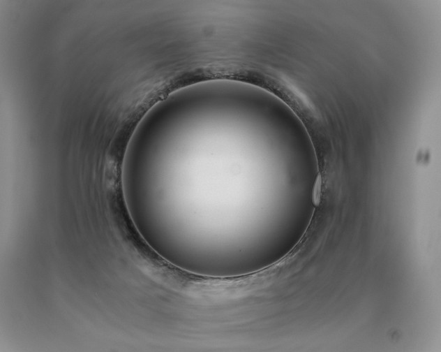 X0000091060025200708061251