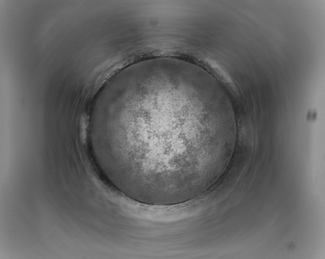 X0000091060026200708061251