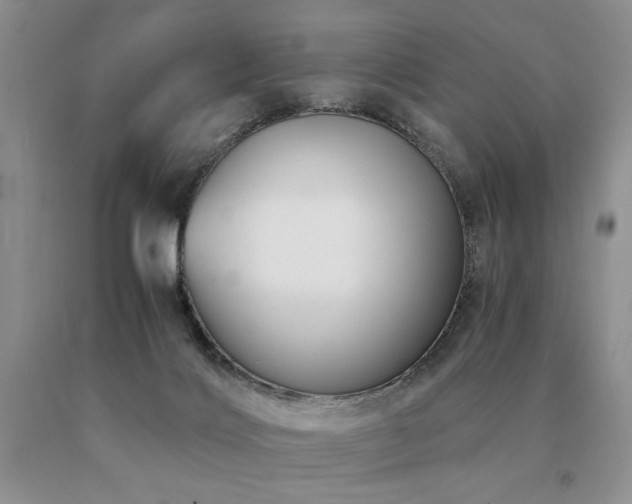X0000091060028200708061251