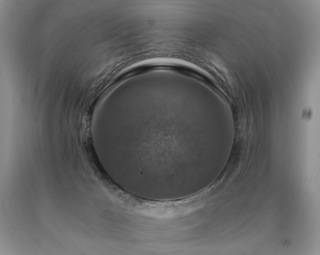 X0000091060029200708061251