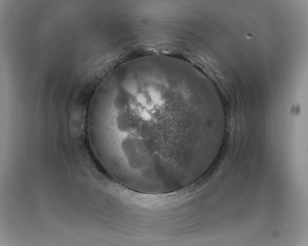 X0000091060030200708061251