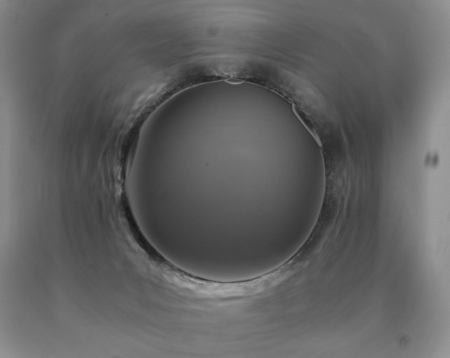 X0000091060031200708061251