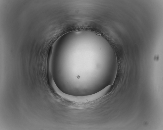 X0000091060033200708061251