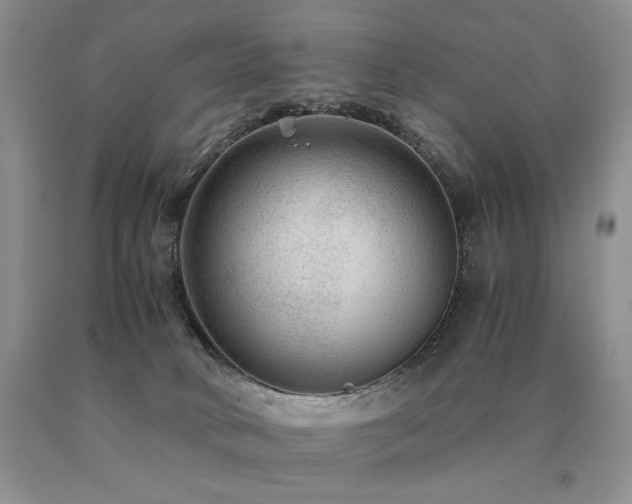 X0000091060034200708061251