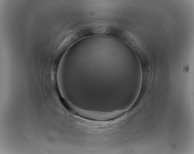 X0000091060035200708061251