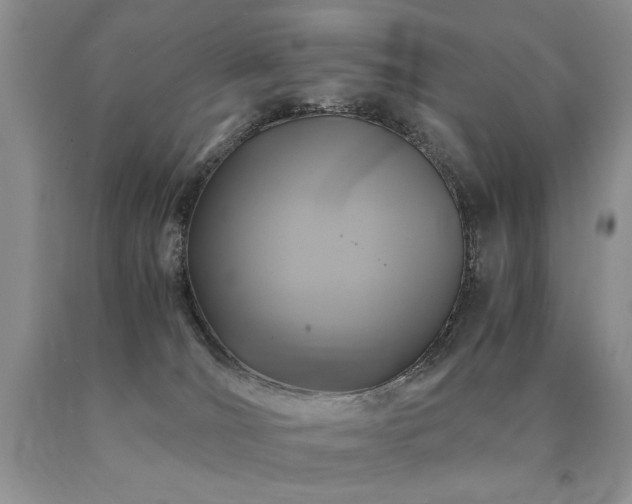 X0000091060036200708061251