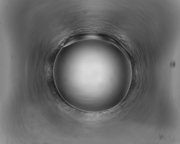 X0000091060037200708061251
