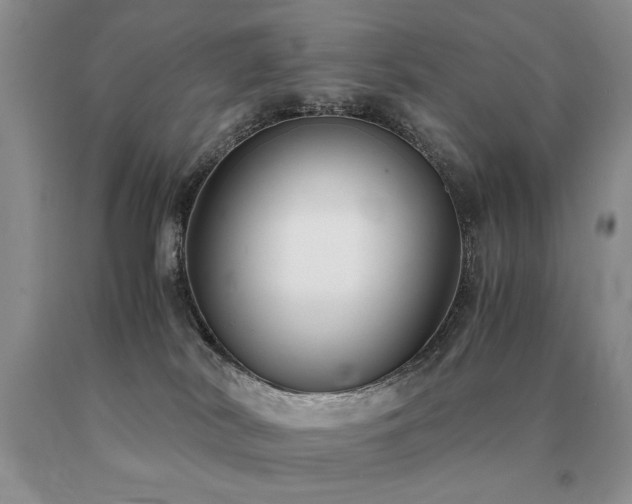 X0000091060038200708061251
