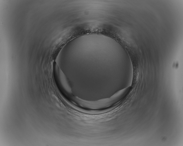 X0000091060039200708061251