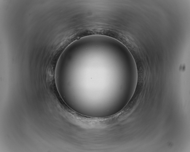 X0000091060040200708061251