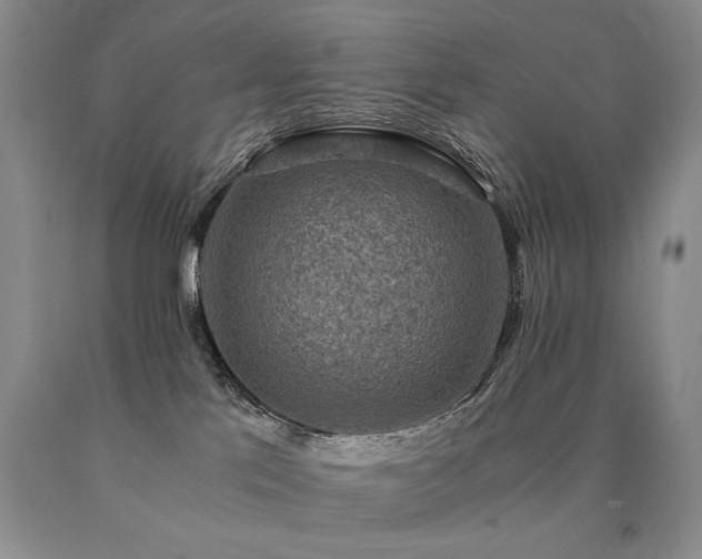 X0000091060041200708061251