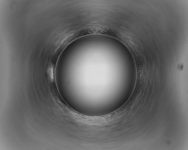 X0000091060042200708061251